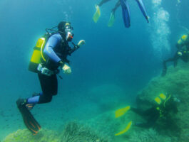 buceo elche